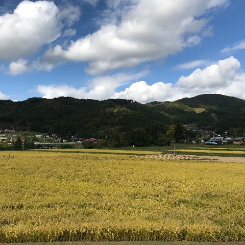 あとはたのむよ、若者!_a0053480_05541104.jpg