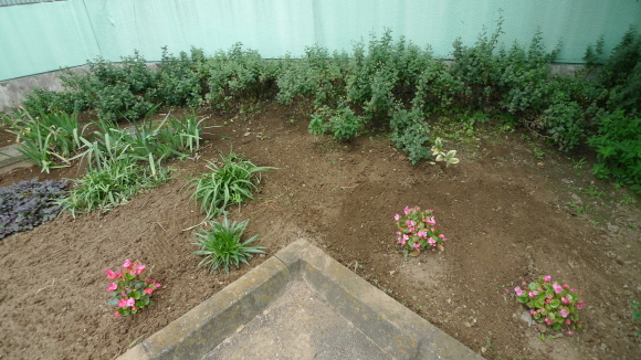 c0212083_17505410.jpg