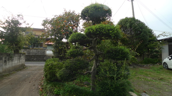 c0212083_17510690.jpg