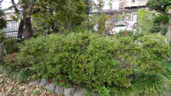 c0212083_17511629.jpg