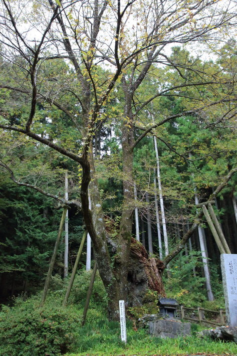 c0358784_21144391.jpg