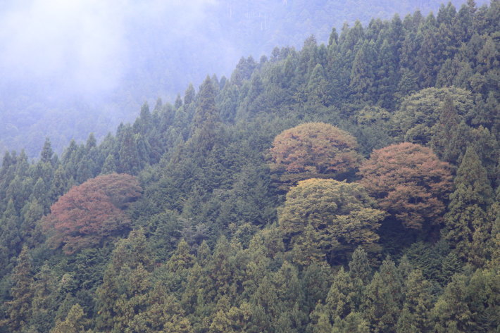 c0358784_21164542.jpg