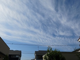 e0130185_1095882.jpg