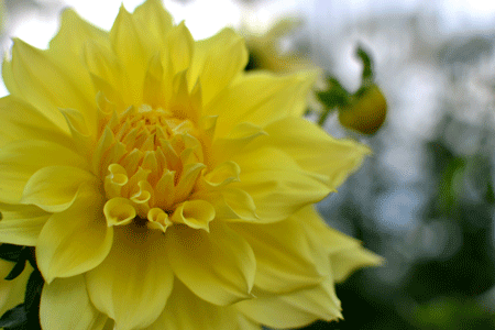 e0246788_09184382.gif