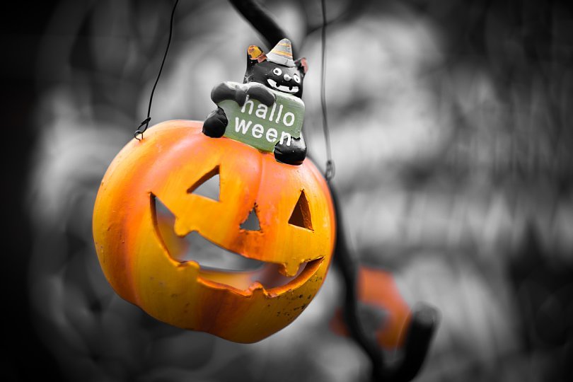 A Park Colored In Wicked Halloween Atmosphere_d0353489_20413890.jpg