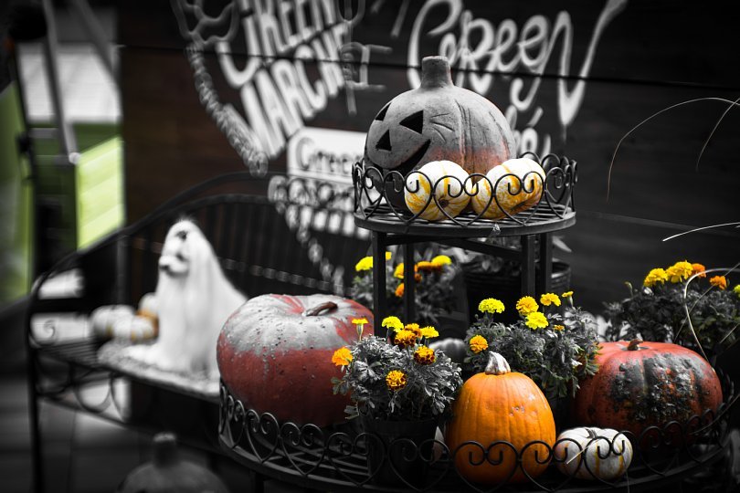 A Park Colored In Wicked Halloween Atmosphere_d0353489_21103830.jpg