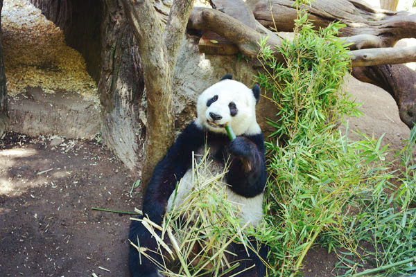 d0159690_12482896.jpg