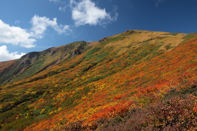 f0353990_16472849.jpg