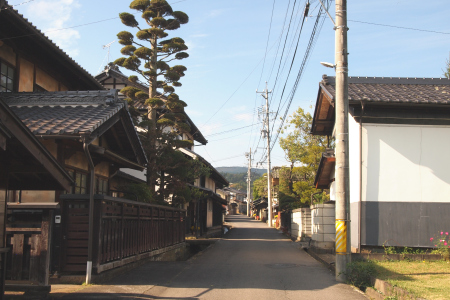 b0223592_21291216.png