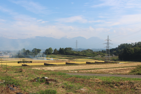 b0223592_21452067.png