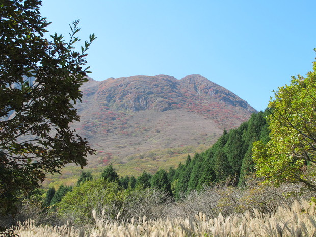 a0166196_16385927.jpg