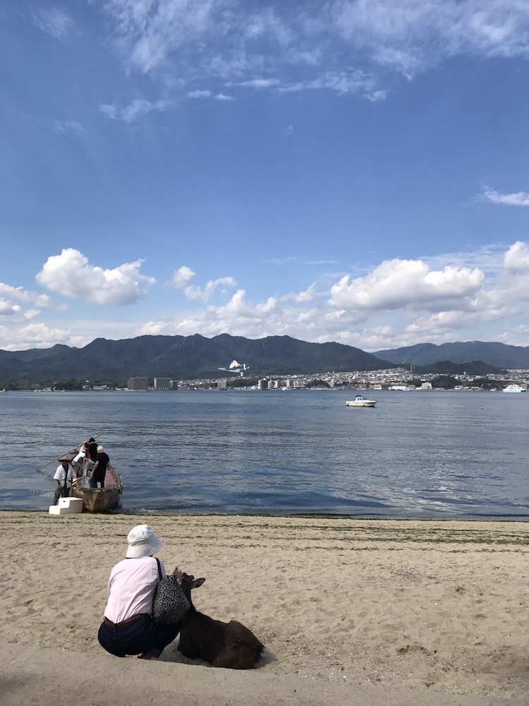 高松への旅２日目　宮島の鹿_d0249399_22265700.jpg