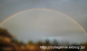a0223701_07271822.png