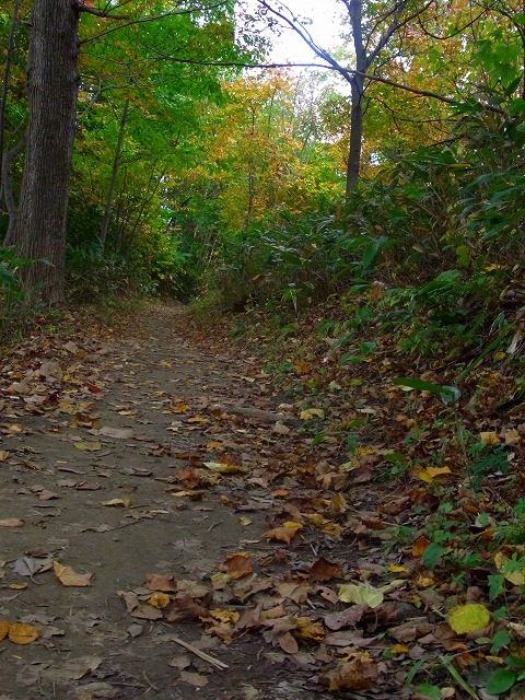 f0157901_1931686.jpg