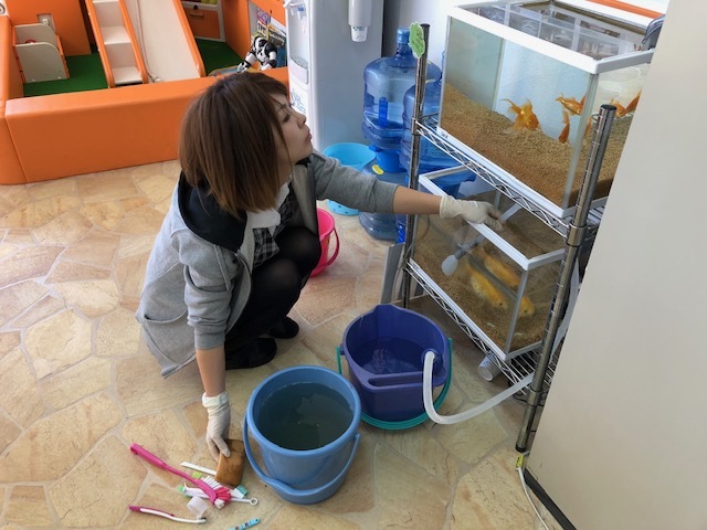 10月20日(土)☆TOMMYアウトレット☆あゆブログ٩(๑•̀ω•́๑)۶ 新在続々入荷中✨自社ローン・ローンサポート_b0127002_17454905.jpg