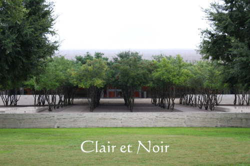 キンベル美術館 : Clair et Noir & Concept Y