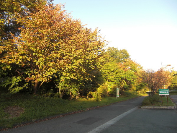 f0249602_13571456.jpg