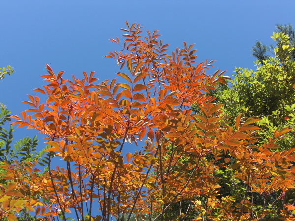 f0249602_14020703.jpg