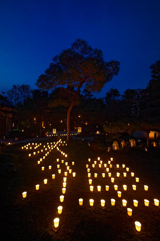 梵燈のあかりに親しむ会＠東林院_f0032011_15335023.jpg