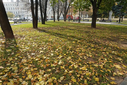 a0151913_9391999.jpg