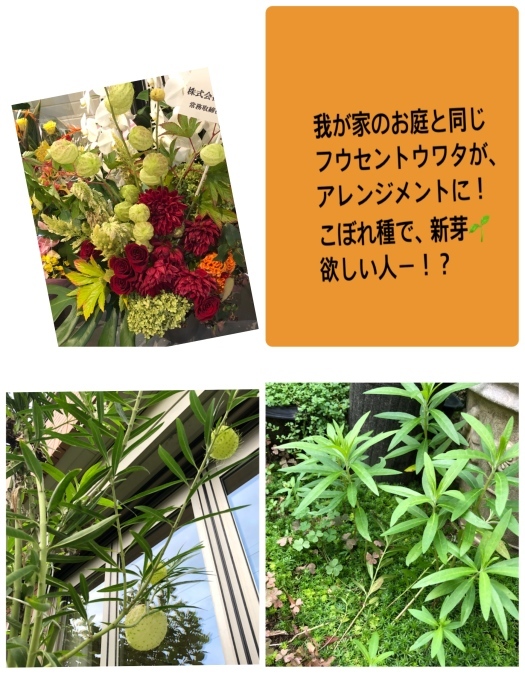 b0163114_14365021.jpeg