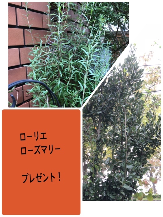 b0163114_14370690.jpeg