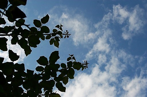 b0275715_12152871.jpg
