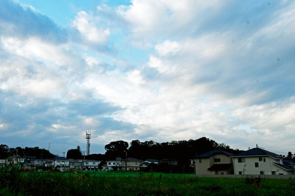 通り雨の朝 自然から学ぶ