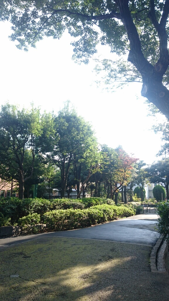 b0339522_20224006.jpg