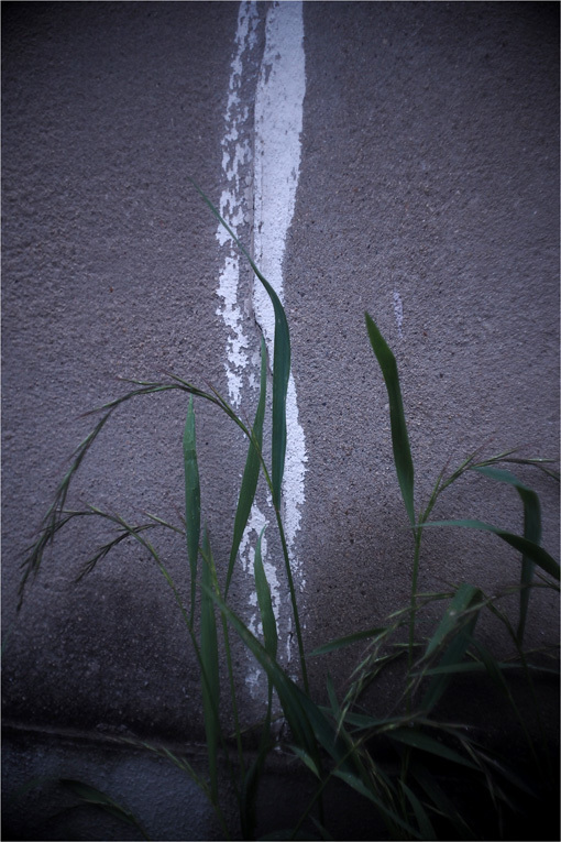 b0226423_21094583.jpg