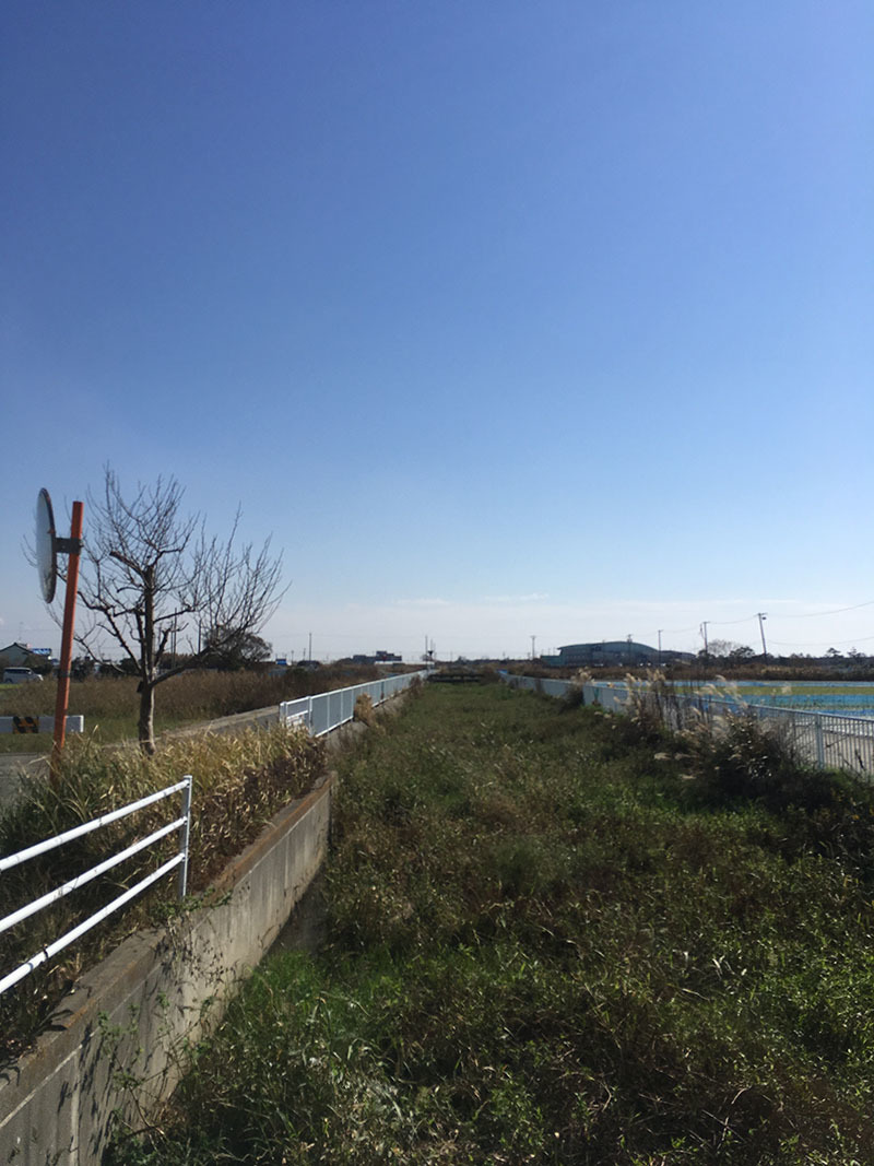 b0302227_11405940.jpg