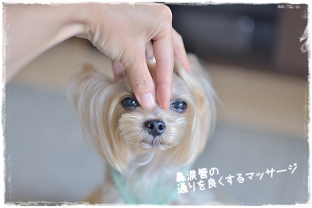 d0179828_10094025.png
