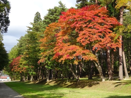 紅葉ライトアップ準備始まる_c0111229_18402927.jpg