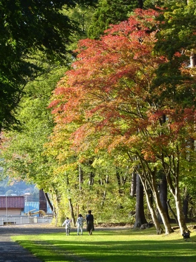 紅葉ライトアップ準備始まる_c0111229_18404257.jpg