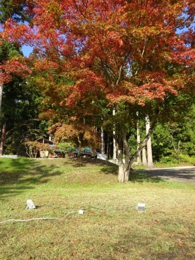 紅葉ライトアップ準備始まる_c0111229_18410355.jpg