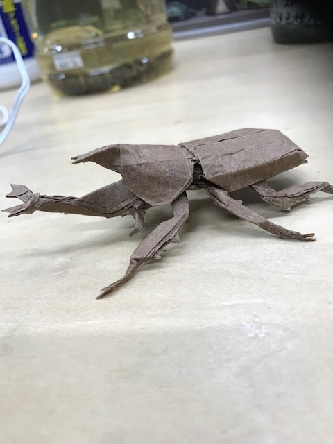 f0177529_19531898.jpeg