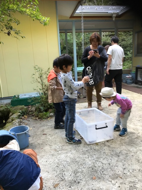 f0177529_19550244.jpeg