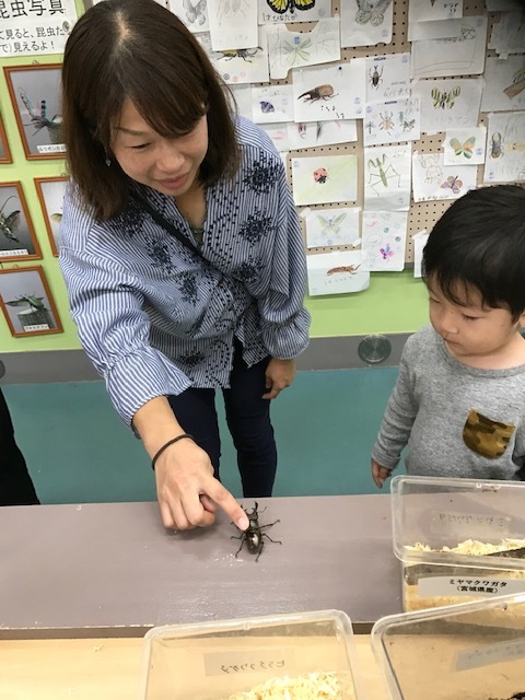 f0177529_19564238.jpeg