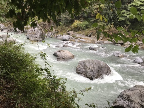 d0146230_23350300.jpeg