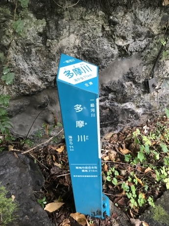 d0146230_23352356.jpeg