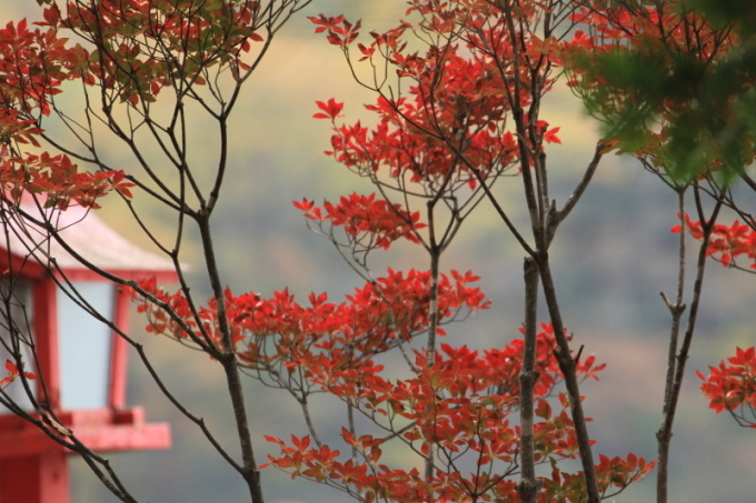 １８年紅葉旅②大洞赤城神社_f0229832_11081815.jpg