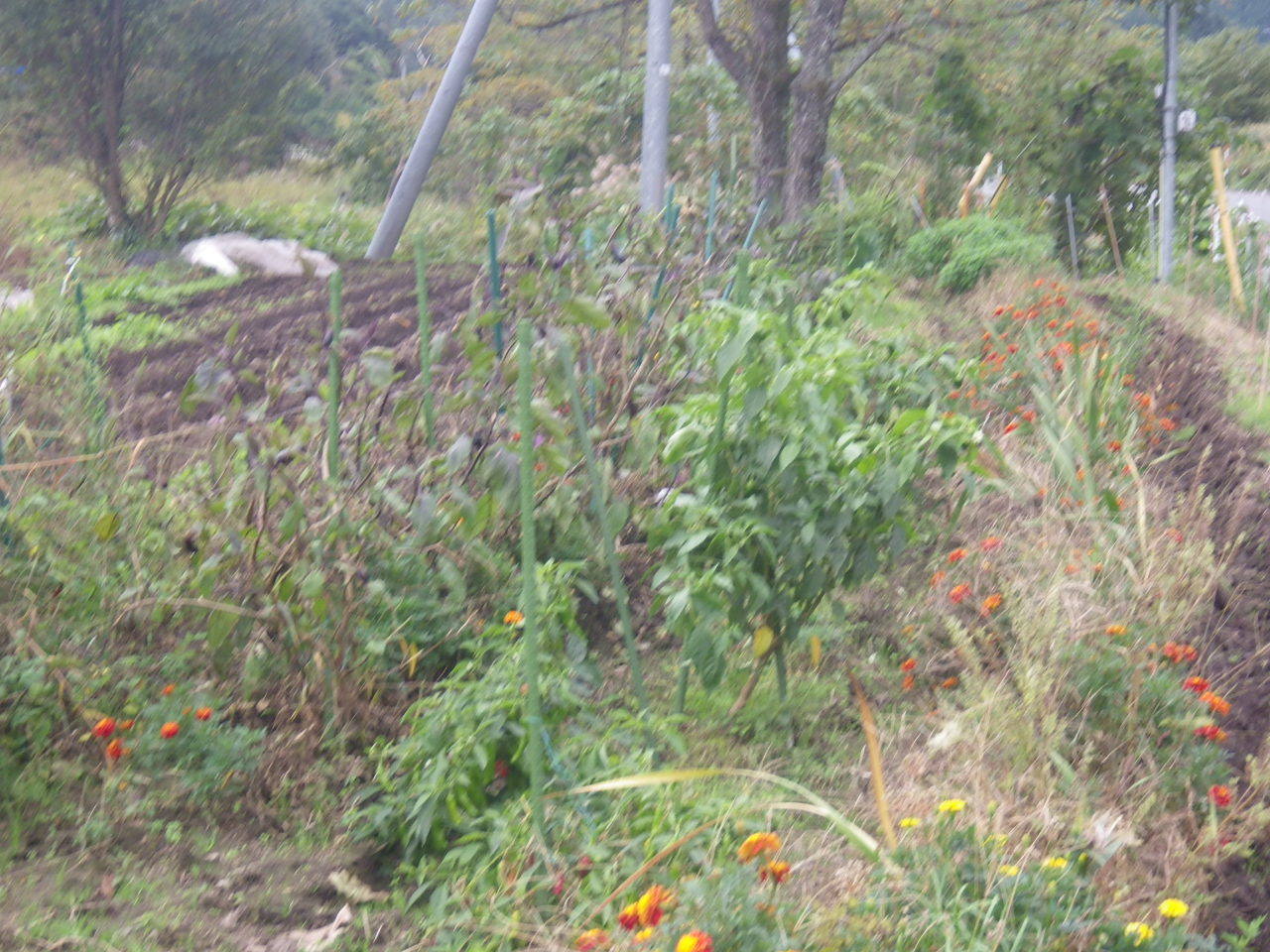 c0300035_09190350.jpg