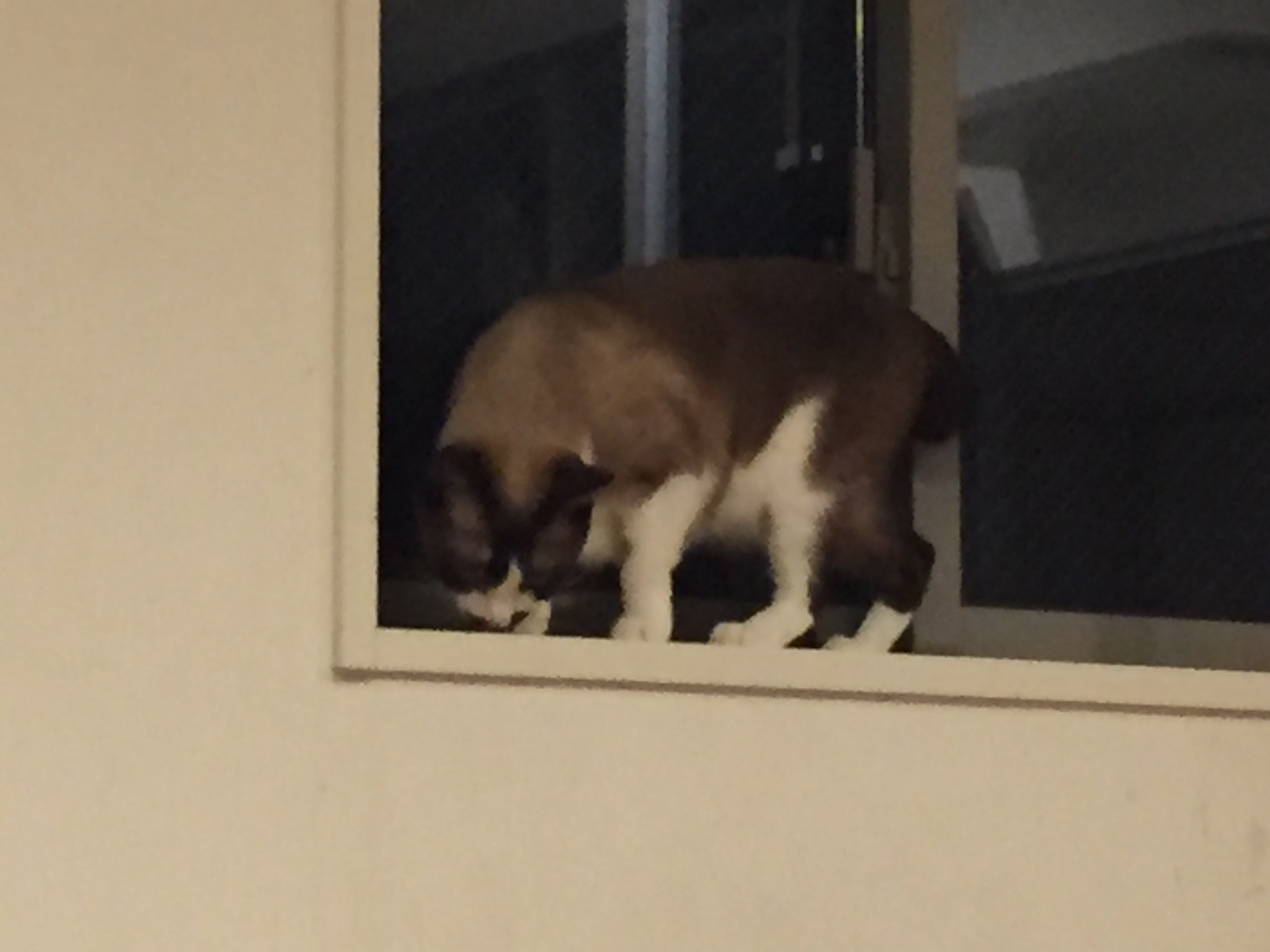 c0342535_22182979.jpeg