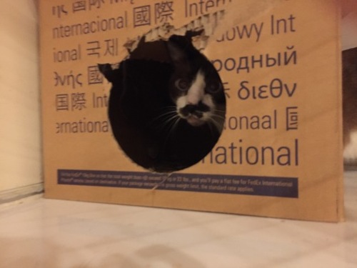 c0342535_22215678.jpeg