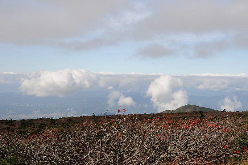 c0147241_18412688.jpg