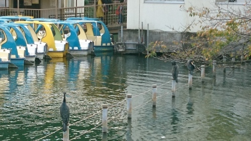 c0355744_14471872.jpg