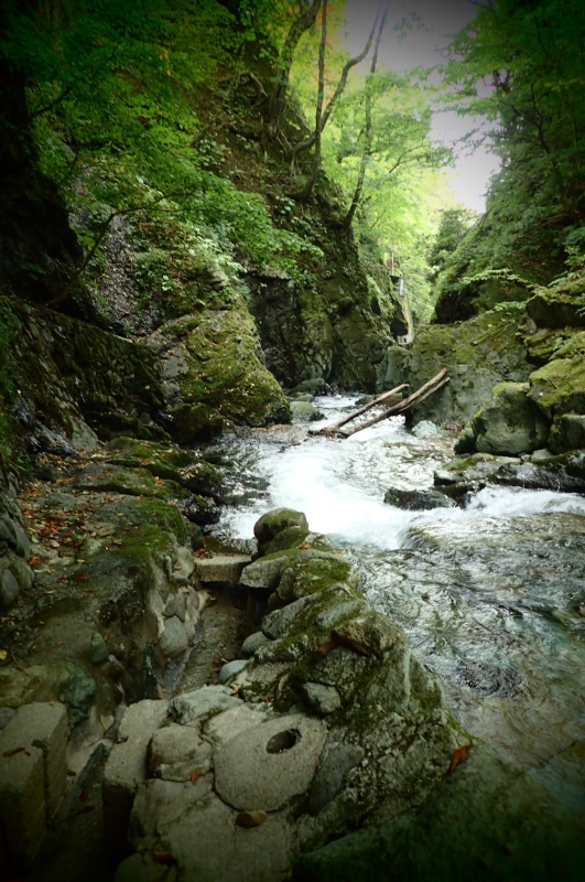 d0342449_08043526.jpeg