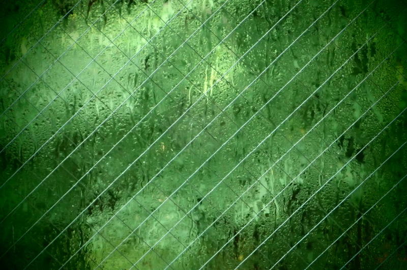 d0342449_08052182.jpeg
