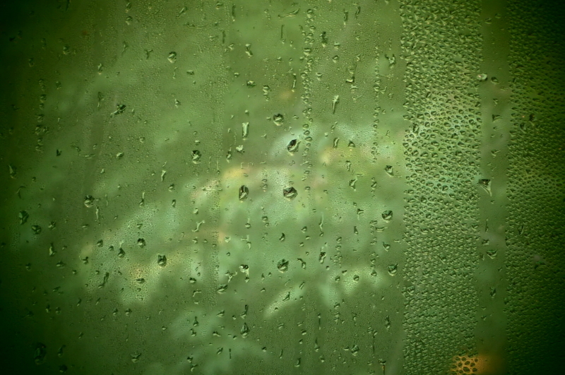 d0342449_08054784.jpeg