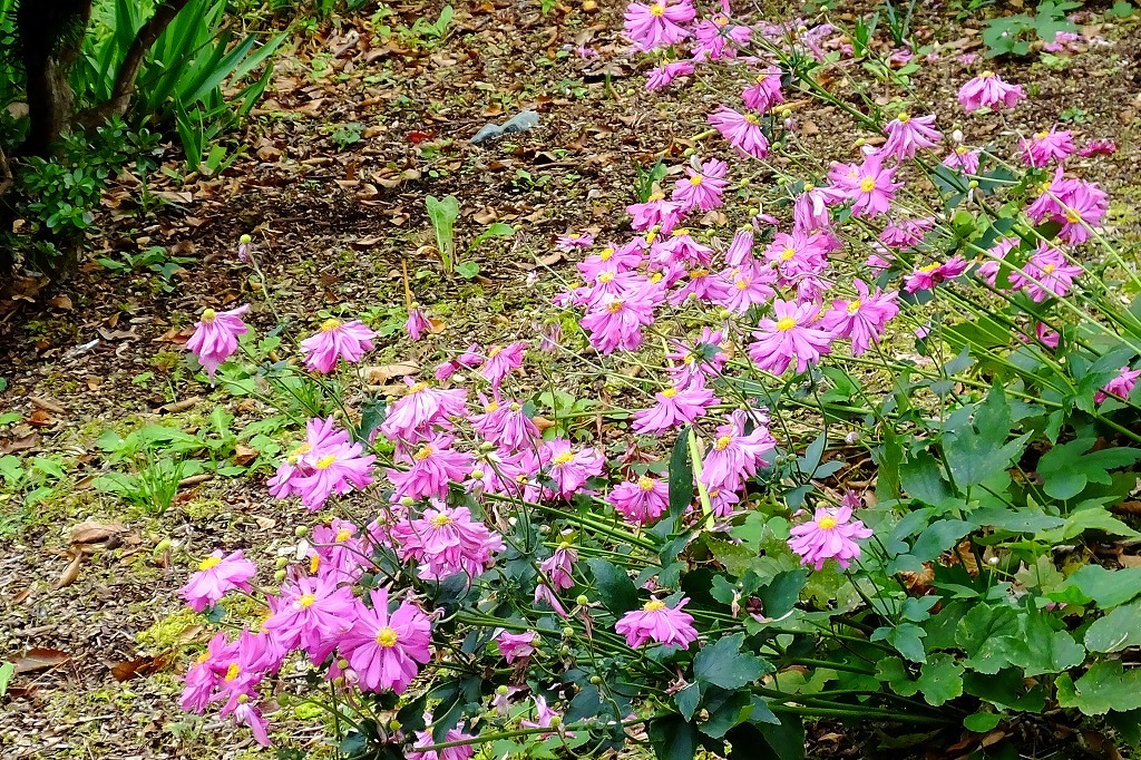 b0236251_09455110.jpg
